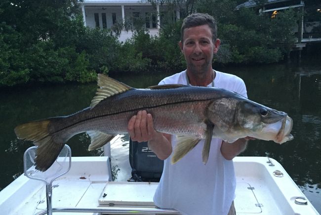 Snook Fish caught in Tampa Bay Florida