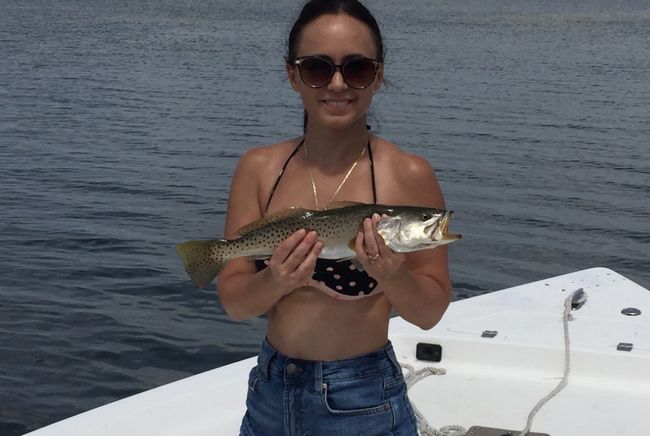 Trout caught in Tampa Bay Florida